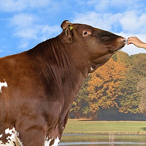 Urfi's DJAMBO