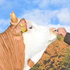 [Translate to Französisch:] 