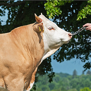 [Translate to Französisch:] 