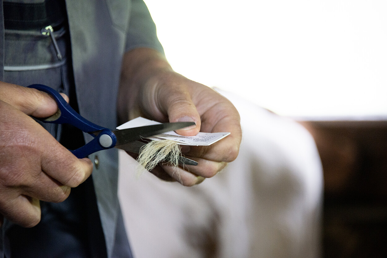 Mann der eine "Hair-Collector-Card" benutzt